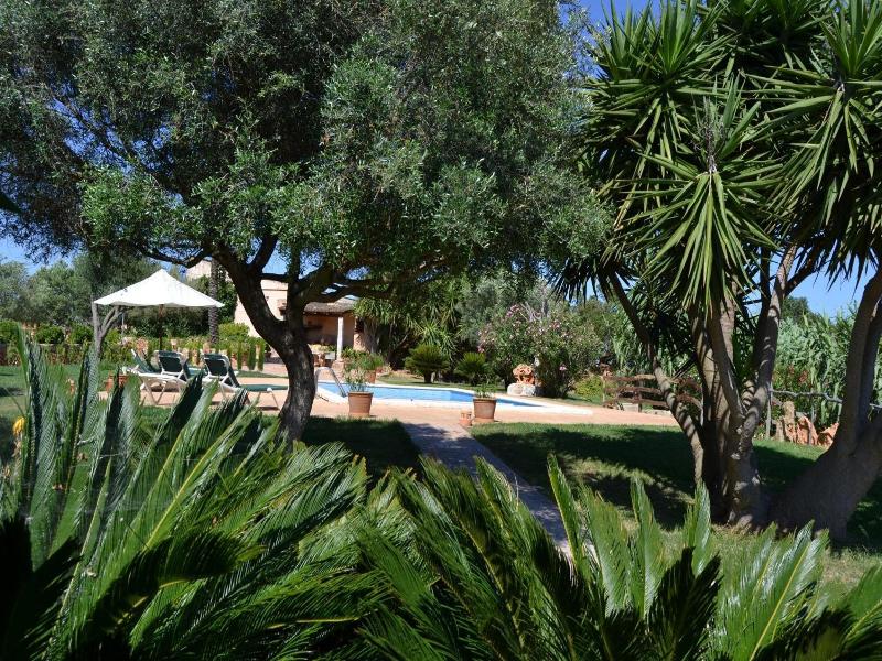 Finca Son Sala  image