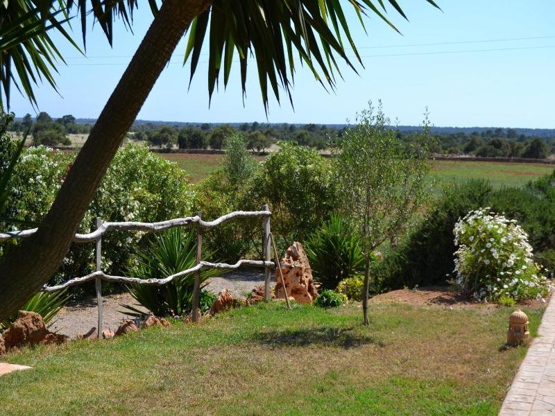 Finca Son Sala  image