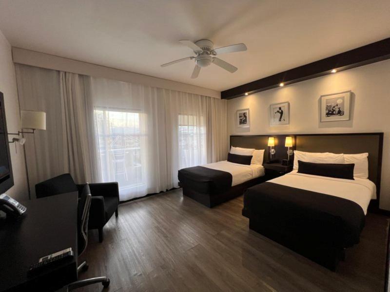 S Hotel Kingston image
