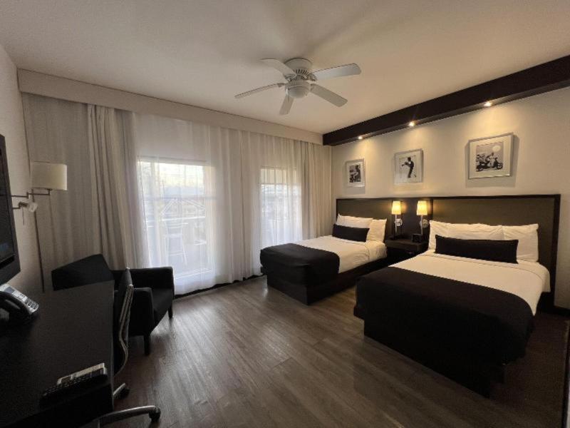 S Hotel Kingston image