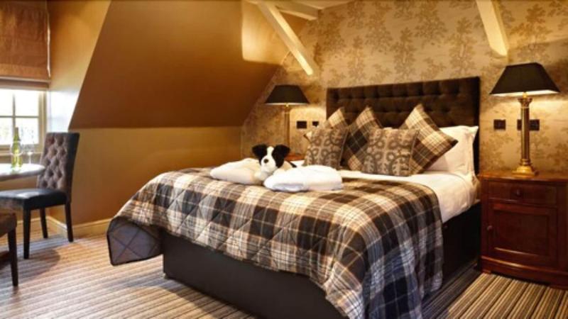 Coed-Y-Mwstwr Hotel image