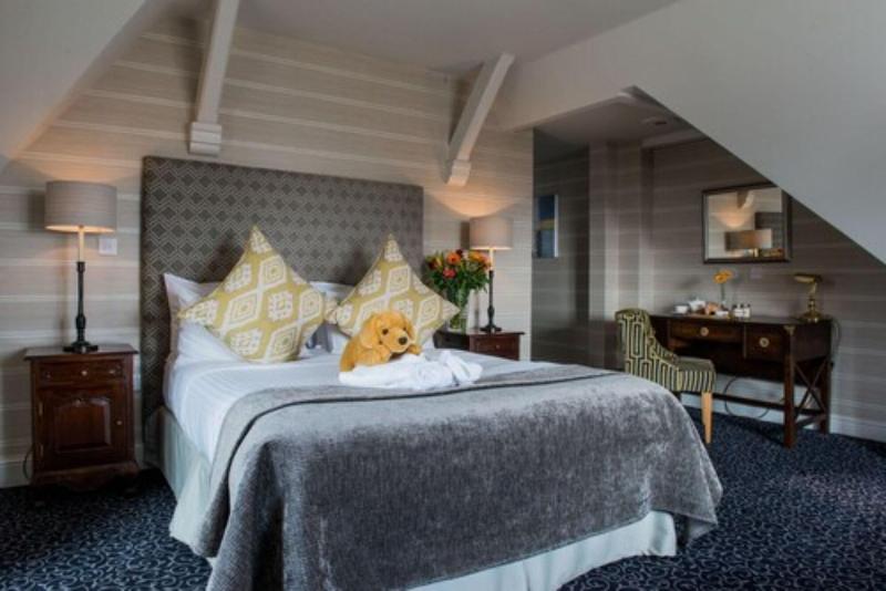 Coed-Y-Mwstwr Hotel image