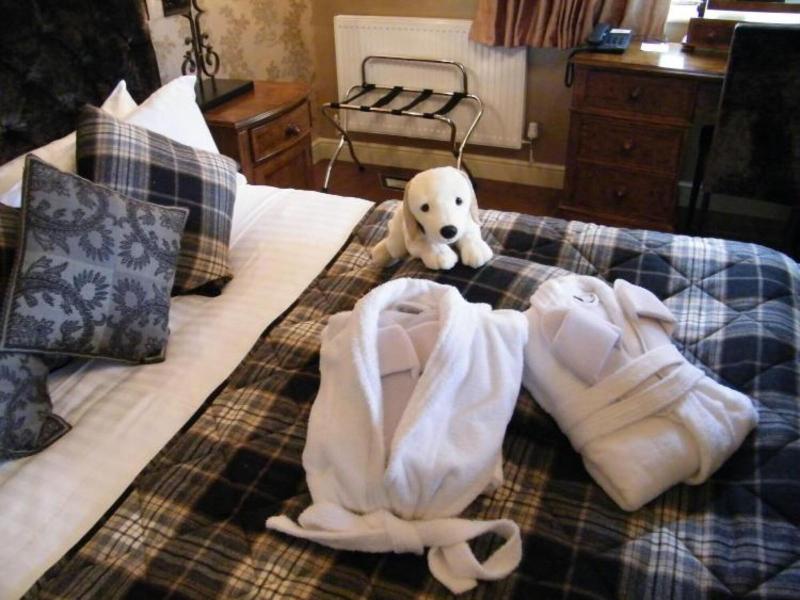 Coed-Y-Mwstwr Hotel image