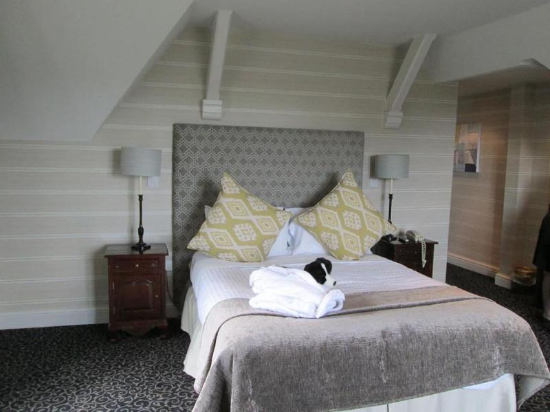 Coed-Y-Mwstwr Hotel image