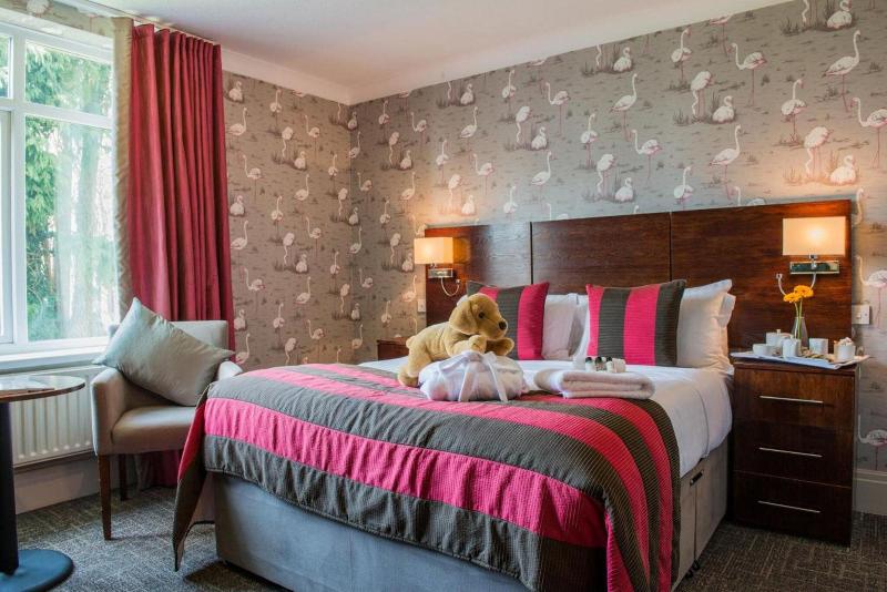 Coed-Y-Mwstwr Hotel image