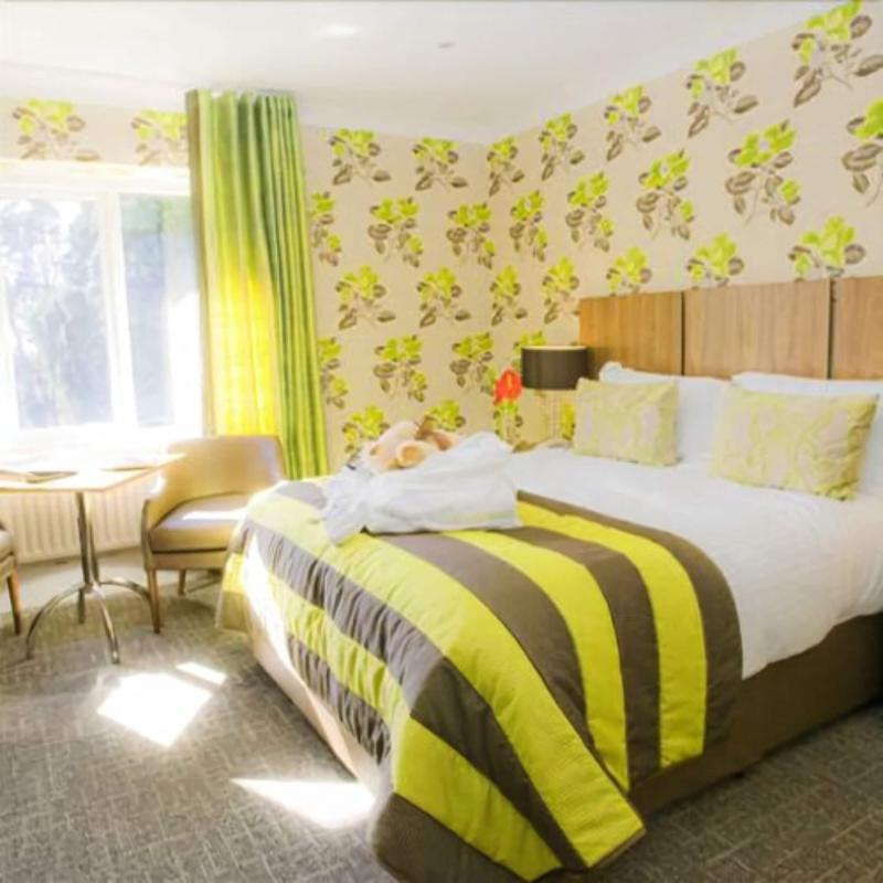 Coed-Y-Mwstwr Hotel image