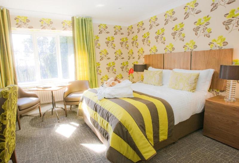 Coed-Y-Mwstwr Hotel image