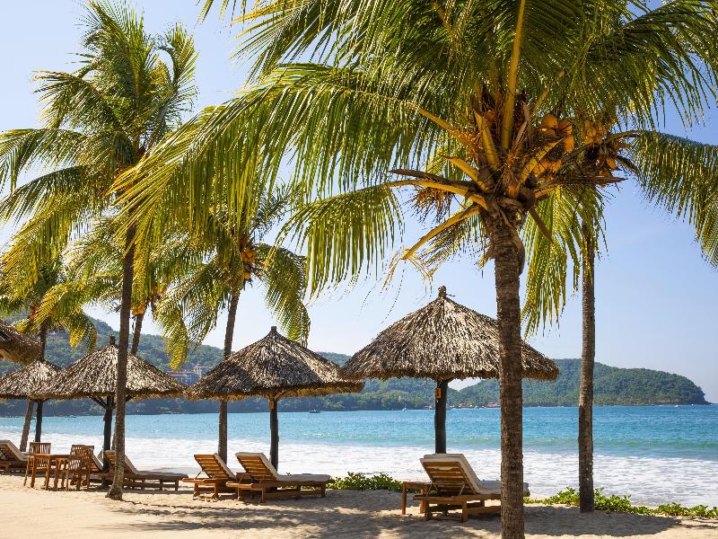 Thompson Zihuatanejo image