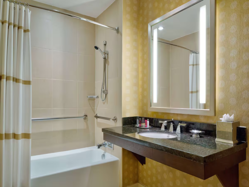 Wyndham Atlanta Buckhead Hotel & Conference Center image