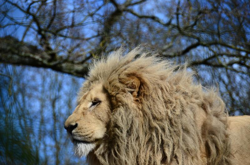 Holiday Inn Stevenage