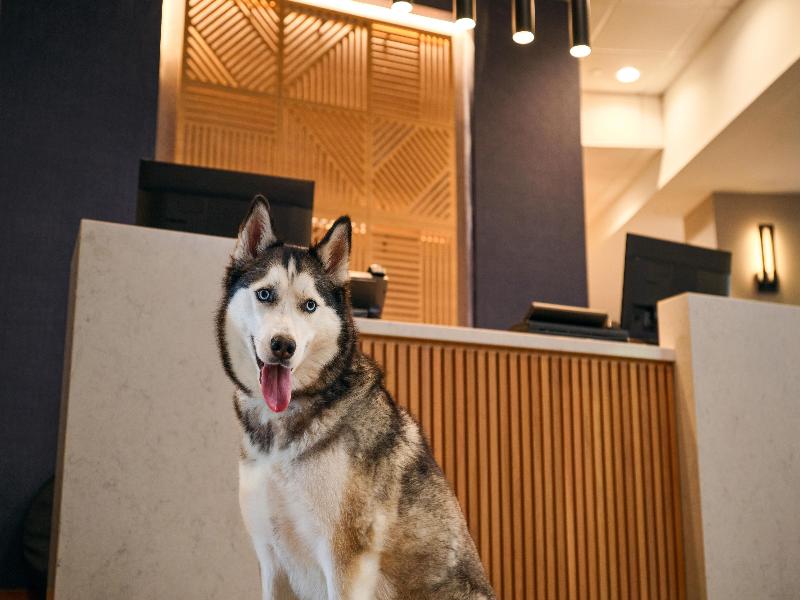 Hyatt Place Tampa Airport/Westshore image