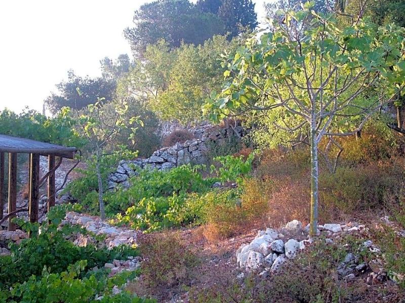 Logos Hotel in Yad Hashmona image
