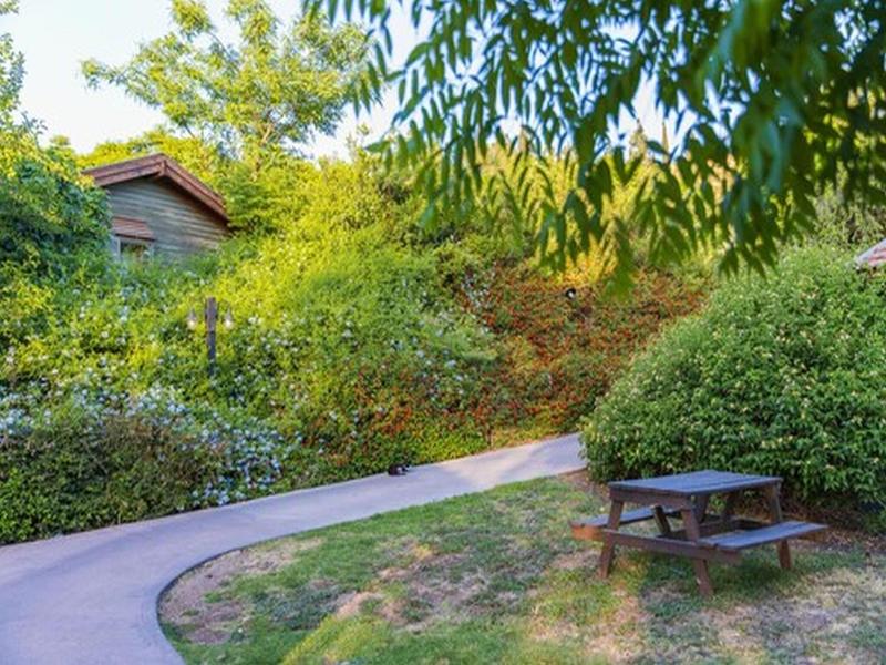 Kibbutz Coutry Lodging Gonen image