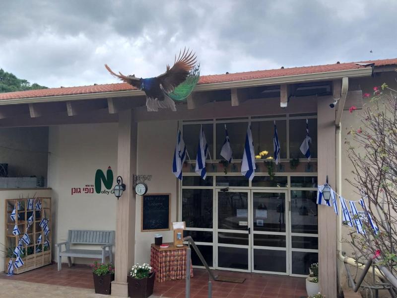 Kibbutz Coutry Lodging Gonen image
