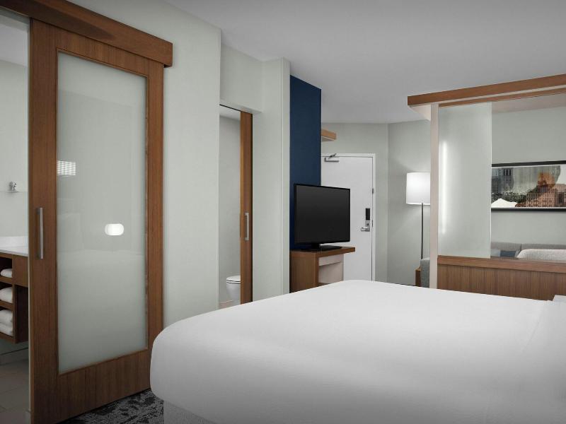 Springhill Suites Savannah Historic District image