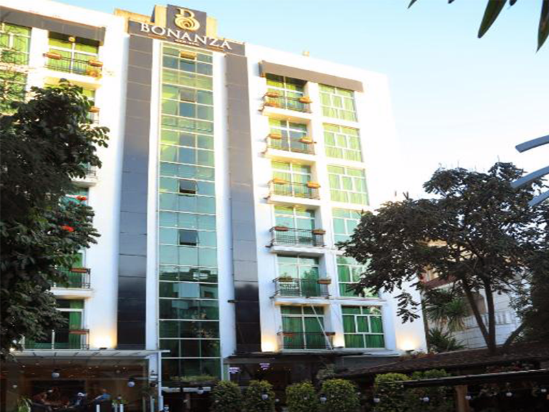 Bonanza Addis Hotel image