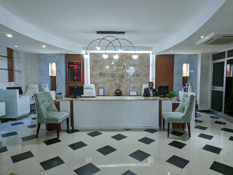 Bonanza Addis Hotel image