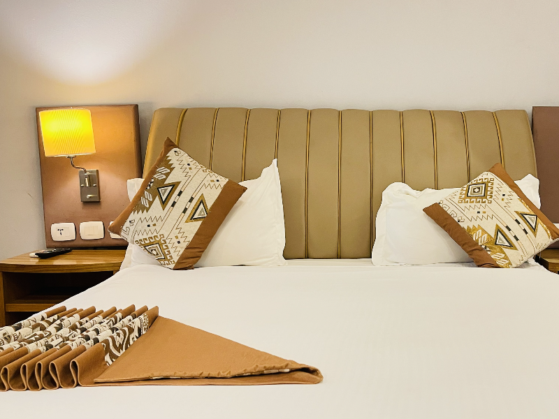 Bonanza Addis Hotel image
