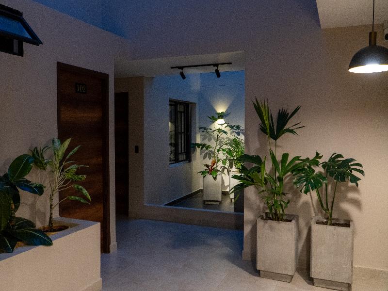 Apartaestudios Zeni image