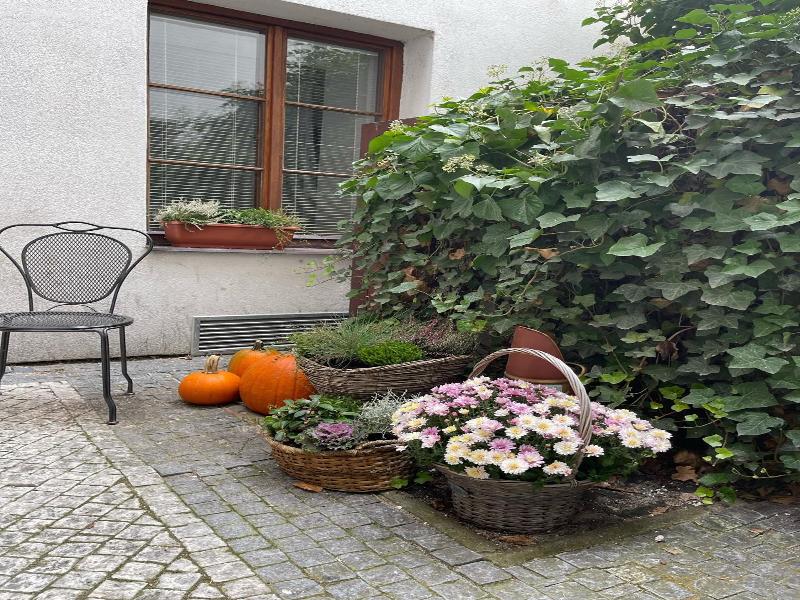 Little Quarter Hostel & Hotel image