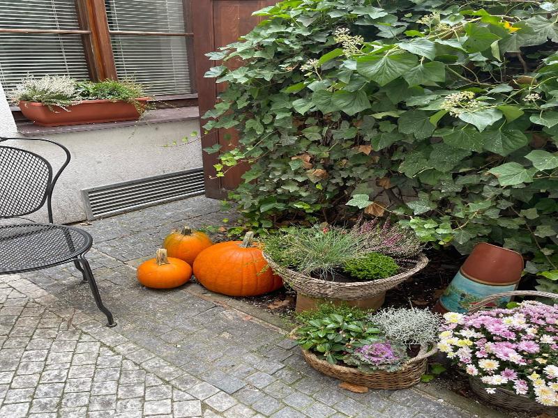 Little Quarter Hostel & Hotel image