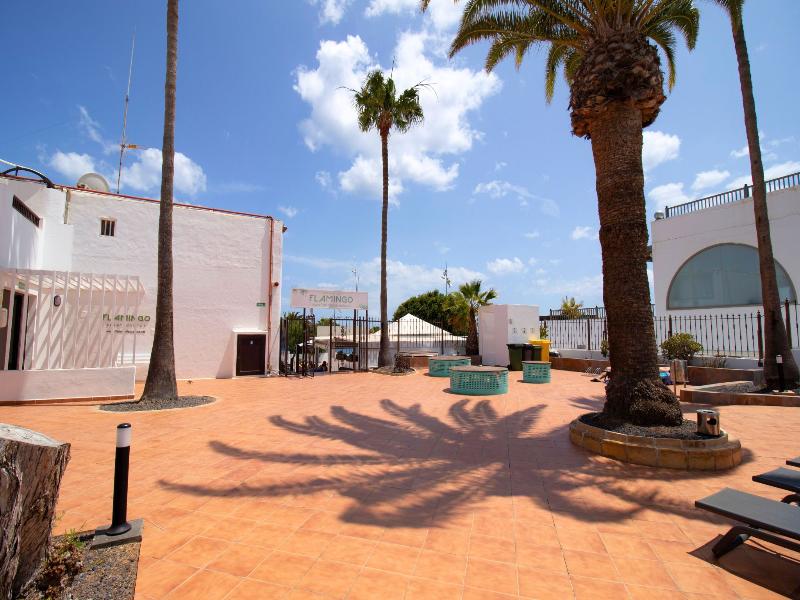 Apartamentos Flamingo image
