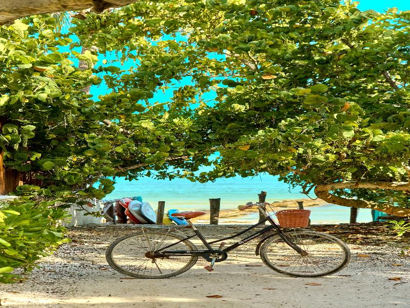 Holbox Dream Beachfront Hotel