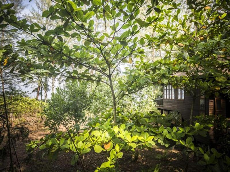 Baba Ecolodge