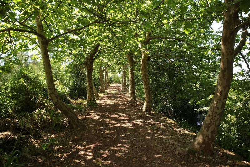 Quinta da Abelheira  image
