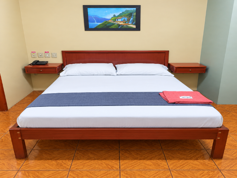 Hotel Milenio image