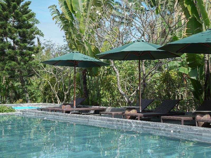 Muca Hoi An Co-Living & Work Retreat image