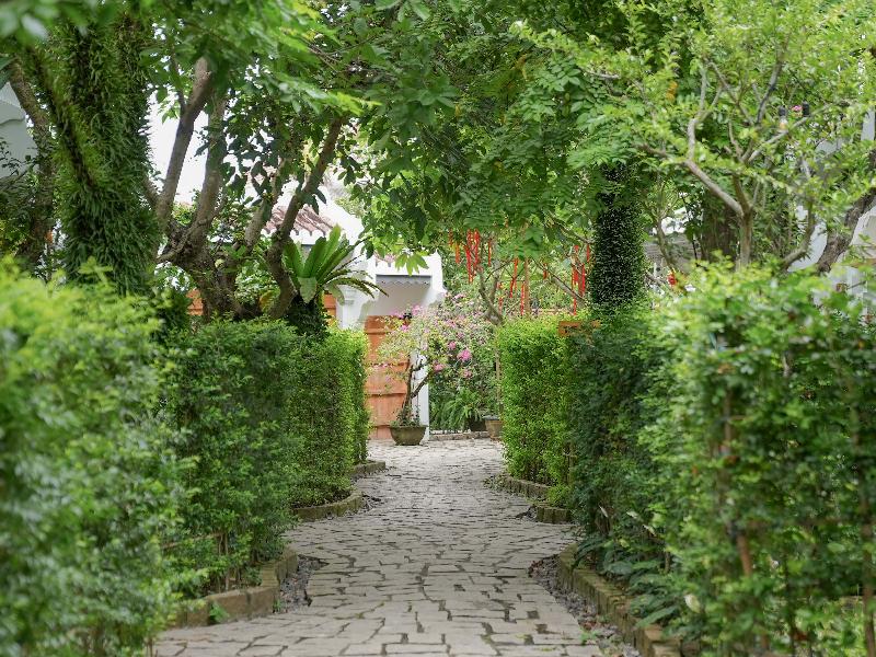 Muca Hoi An Co-Living & Work Retreat image