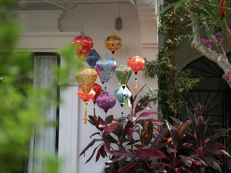 Muca Hoi An Co-Living & Work Retreat image
