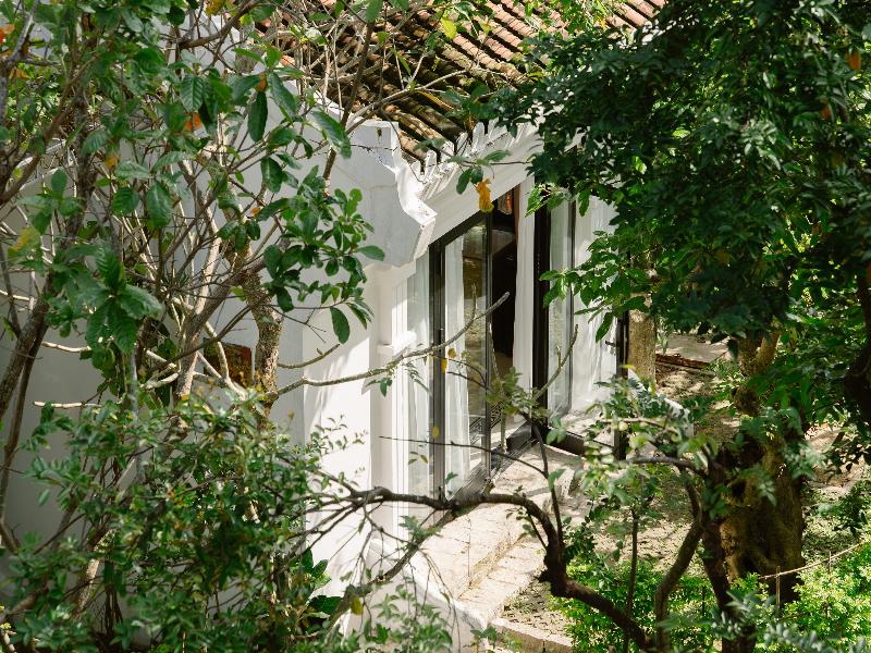 Muca Hoi An Co-Living & Work Retreat image