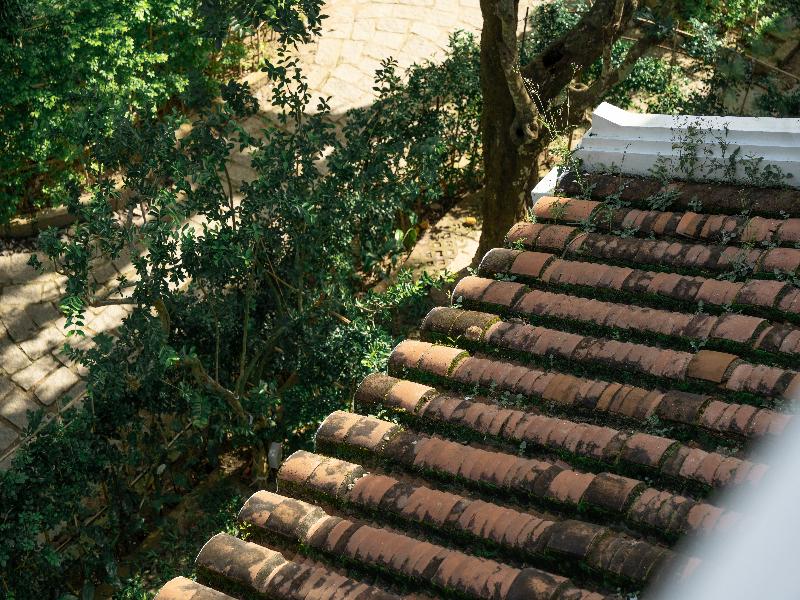 Muca Hoi An Co-Living & Work Retreat image