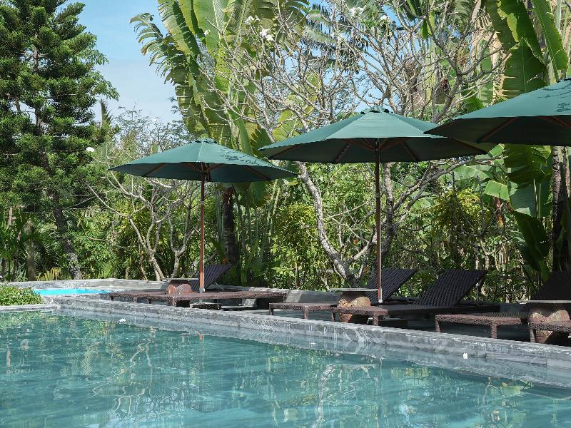 Muca Hoi An Co-Living & Work Retreat image