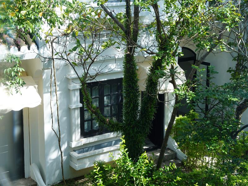 Muca Hoi An Co-Living & Work Retreat image