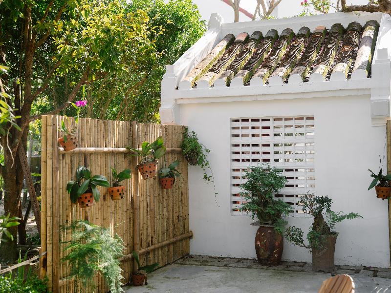 Muca Hoi An Co-Living & Work Retreat image