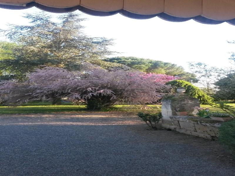 Domaine Mongiron image