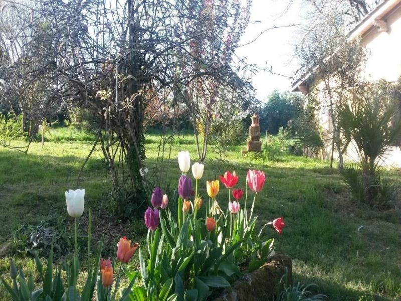 Domaine Mongiron image