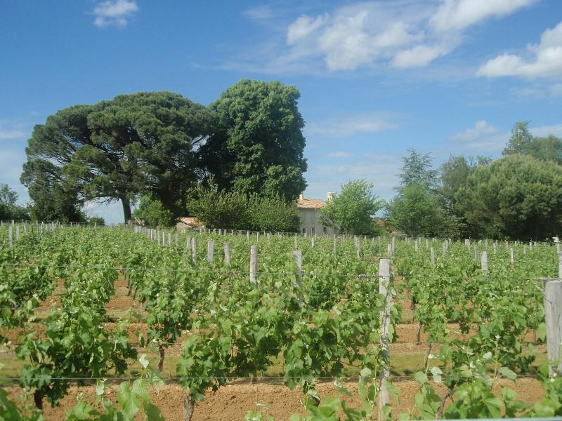 Domaine Mongiron image