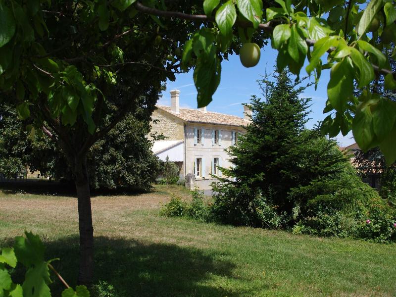 Domaine Mongiron image