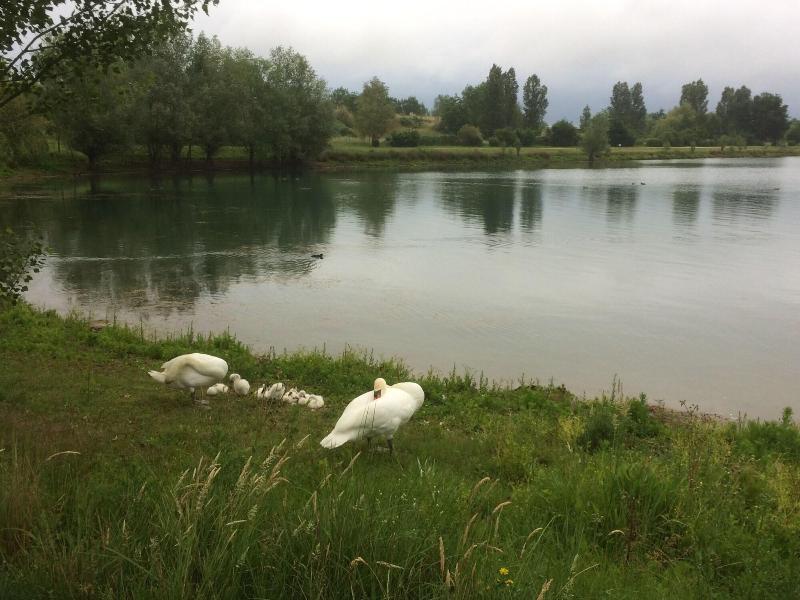 Domaine Mongiron image