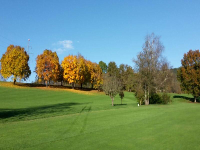 Domaine Mongiron image