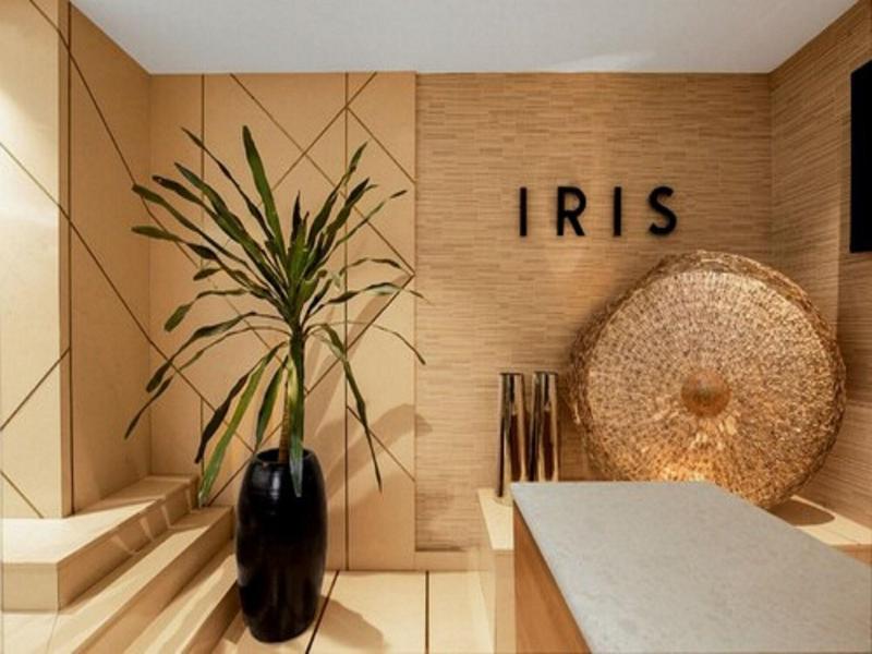 Iris Hotel Maitama image