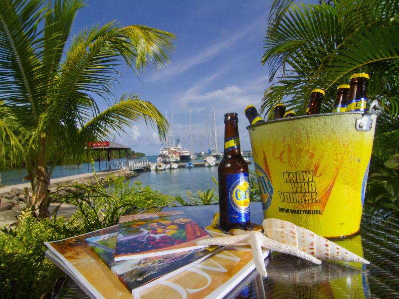 Le Phare Bleu Marina Resort image