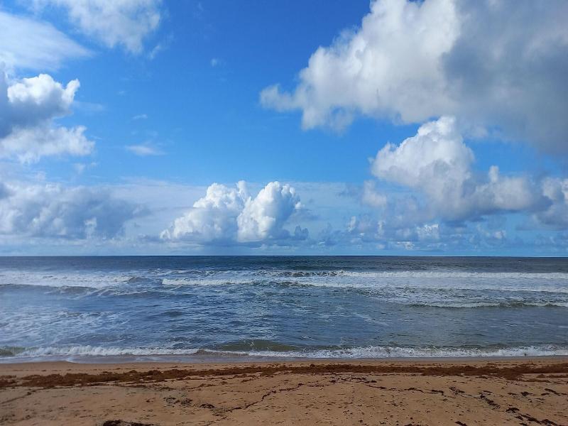 Tropicana Beach Resort image
