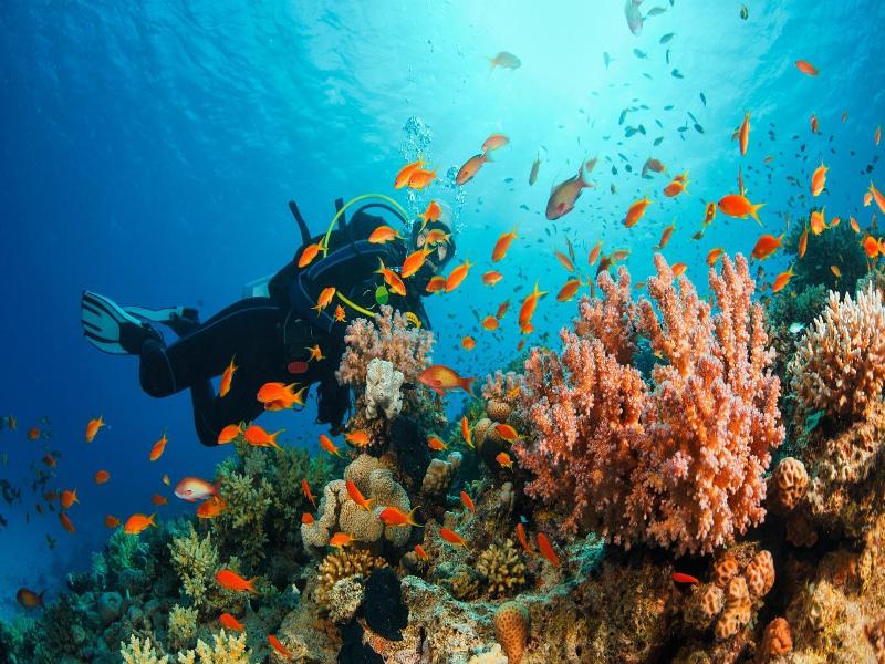 Kempinski Hotel Aqaba Red Sea image