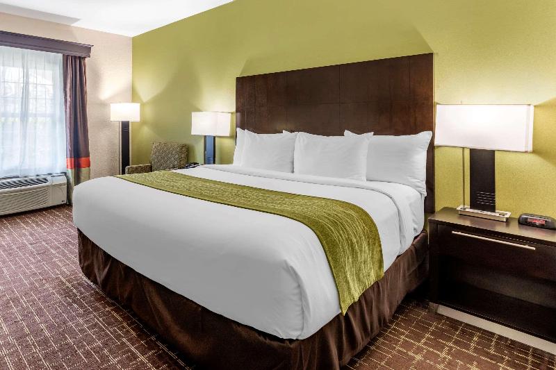 Comfort Inn Old Town San Diego image