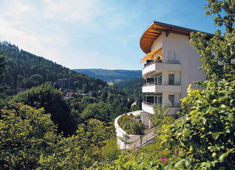Schwarzwald Panorama image